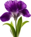 purple flowers lorem ipsum dolor sit amet. AI- Generated Royalty Free Stock Photo