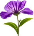 purple flowers lorem ipsum dolor sit amet. AI- Generated Royalty Free Stock Photo