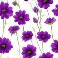 Purple flowers on a white background, whitespace border. AI-Generated.