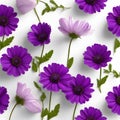 Purple flowers on a white background, whitespace border. AI-Generated.