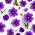 Purple flowers on a white background, whitespace border. AI-Generated.