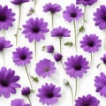 Purple flowers on a white background, whitespace border. AI-Generated.