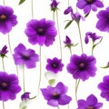 Purple flowers on a white background, whitespace border. AI-Generated.