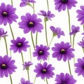 Purple flowers on a white background, whitespace border. AI-Generated.