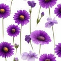 Purple flowers on a white background, whitespace border. AI-Generated.