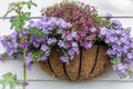 Purple flowers in a wicker basket hanging on the white wooden wall.