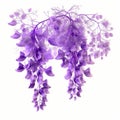 Vibrant Wisteria Flowers: Dreamlike 3d X-ray Illustration On White Background Royalty Free Stock Photo