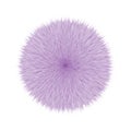 Purple Fluffy Vector Hair Ball Royalty Free Stock Photo