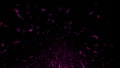 Purple flying sparks. Burning sparks. Particles sparkle spray debris. Overlays texture background . Design element