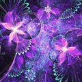 Purple fractal flowers