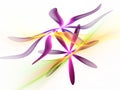 Purple Fractal Flowers With Green, Yellow Wavy Background