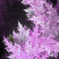 Purple fractal frost