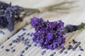 Purple Fragrant Lavender Blossom Still Life Royalty Free Stock Photo