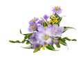 Purple freesia, asters amellus and small yellow flowers in a corner floral arrangement isolated Royalty Free Stock Photo