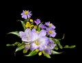 Purple freesia, asters amellus and small yellow flowers in a corner floral arrangement isolated Royalty Free Stock Photo