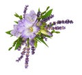 Purple freesia flowers with lavender in a corner floral arrangement isolated Royalty Free Stock Photo