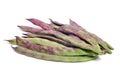 Purple french beans Royalty Free Stock Photo