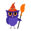 A purple frowning owl in a red hat and with a witch`s broom. Color flat cartoon vector illustration isolated on a white backgroun Royalty Free Stock Photo