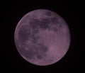 Purple full moon