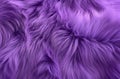 Purple fur texture close up Royalty Free Stock Photo