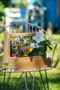 Purple garden chair in a summer garden Royalty Free Stock Photo