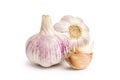 Purple garlic bulbs and cloves isolated on the white background Royalty Free Stock Photo