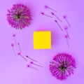 Purple garlic flowers and yellow box with a gift on a lilac background. Gentle colors. Minimalism