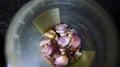 Purple garlic, a spice with vitamins and very healthy in Spanish cuisine, to cook and eat raw Royalty Free Stock Photo