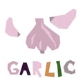 Purple garlic, whole and clove, highlighted on a white background. The original signature is garlic. Products from
