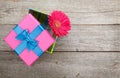 Purple gerbera flower in gift box