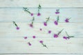 Purple gerbera flowers on wooden background