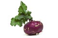 Purple German Turnip