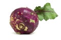 Purple German Turnip