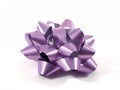 Purple Gift Bow