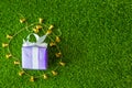 Purple gift box with golden bell on green grass background with Royalty Free Stock Photo