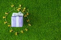 Purple gift box with golden bell on green grass background with Royalty Free Stock Photo