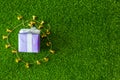 Purple gift box with golden bell on green grass background with Royalty Free Stock Photo