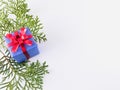Purple gift box with red ribbon on white background with arborvitae branches aside.