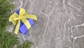 Purple gift box with arborvitae branches on grey marble background.