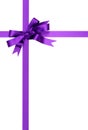 Purple gift ribbon bow isolated on white background vertical