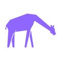 Purple giraffe isolated on white Royalty Free Stock Photo