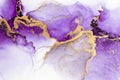 Purple gold abstract background of marble liquid ink art painting on paper .