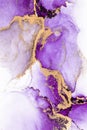 Purple gold abstract background of marble liquid ink art painting on paper .