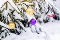 Purple and gold Christmas balls on a snow-covered fir branch. Christmas tree and Christmas decorations Royalty Free Stock Photo