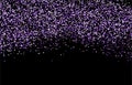 Purple gold sparkles on a black background. Silver glitter background