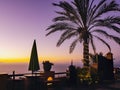 Purple golden evening atmosphere on the north coast of Tenerife, with a large palm tree surrounded by light chain