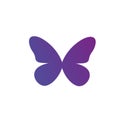 Purple Gradient Butterfly Logo Icon. Vector Illustration Isolated On White Background. Clean Design