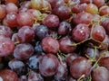 Fresh Purple Grape 2 Royalty Free Stock Photo