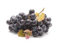 Purple grape with green leaf Royalty Free Stock Photo