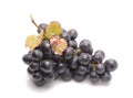 Purple grape with green leaf Royalty Free Stock Photo